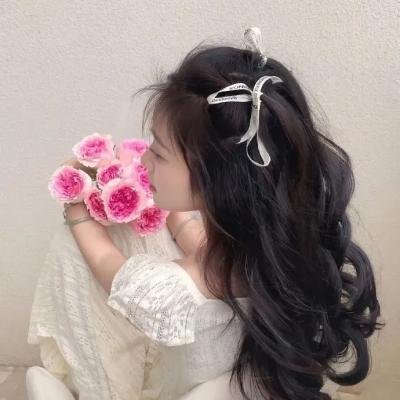 遇见波士顿布莱奇