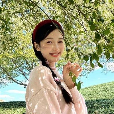 大清盐商
